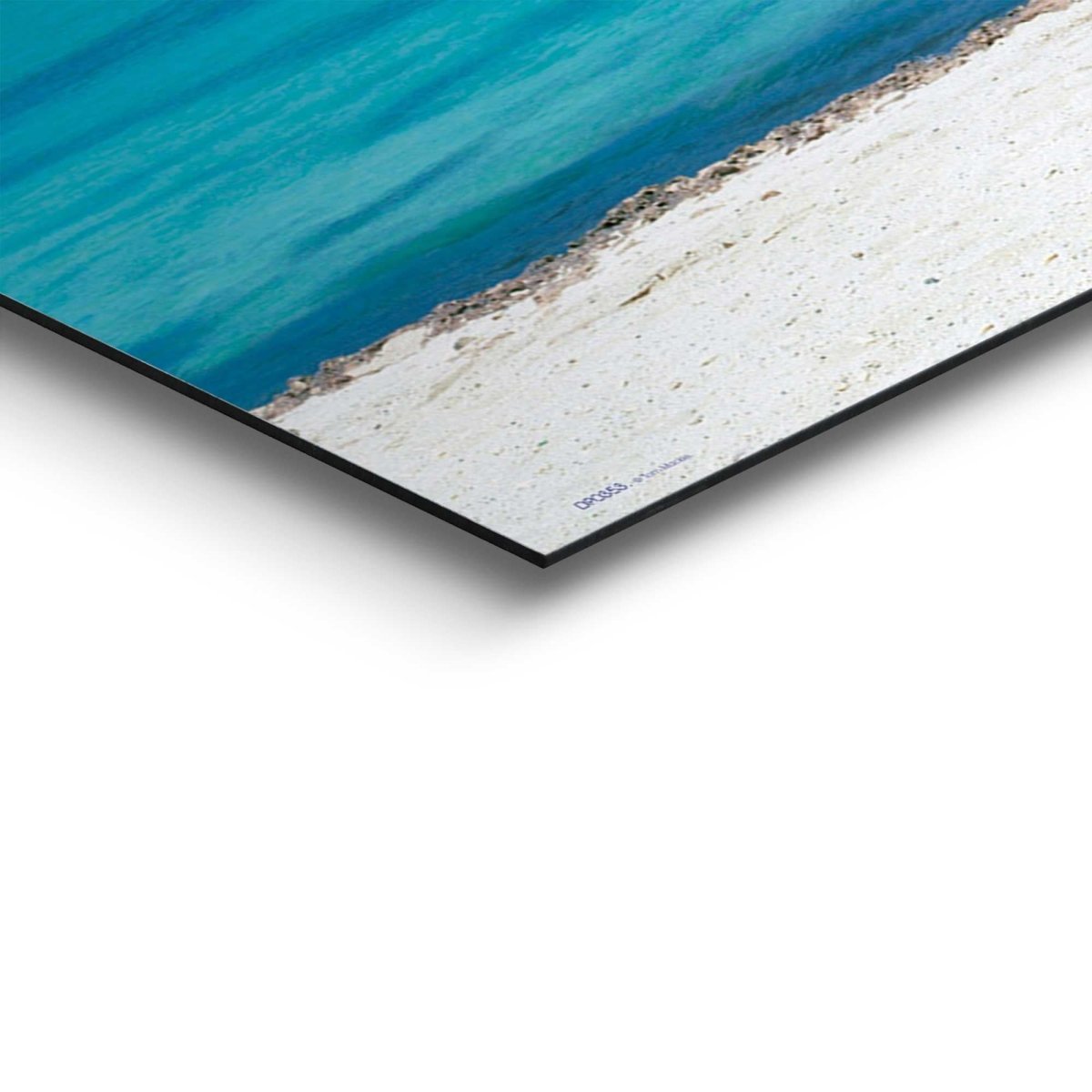 Schilderij Divi Divi boom 52x156 - Reinders