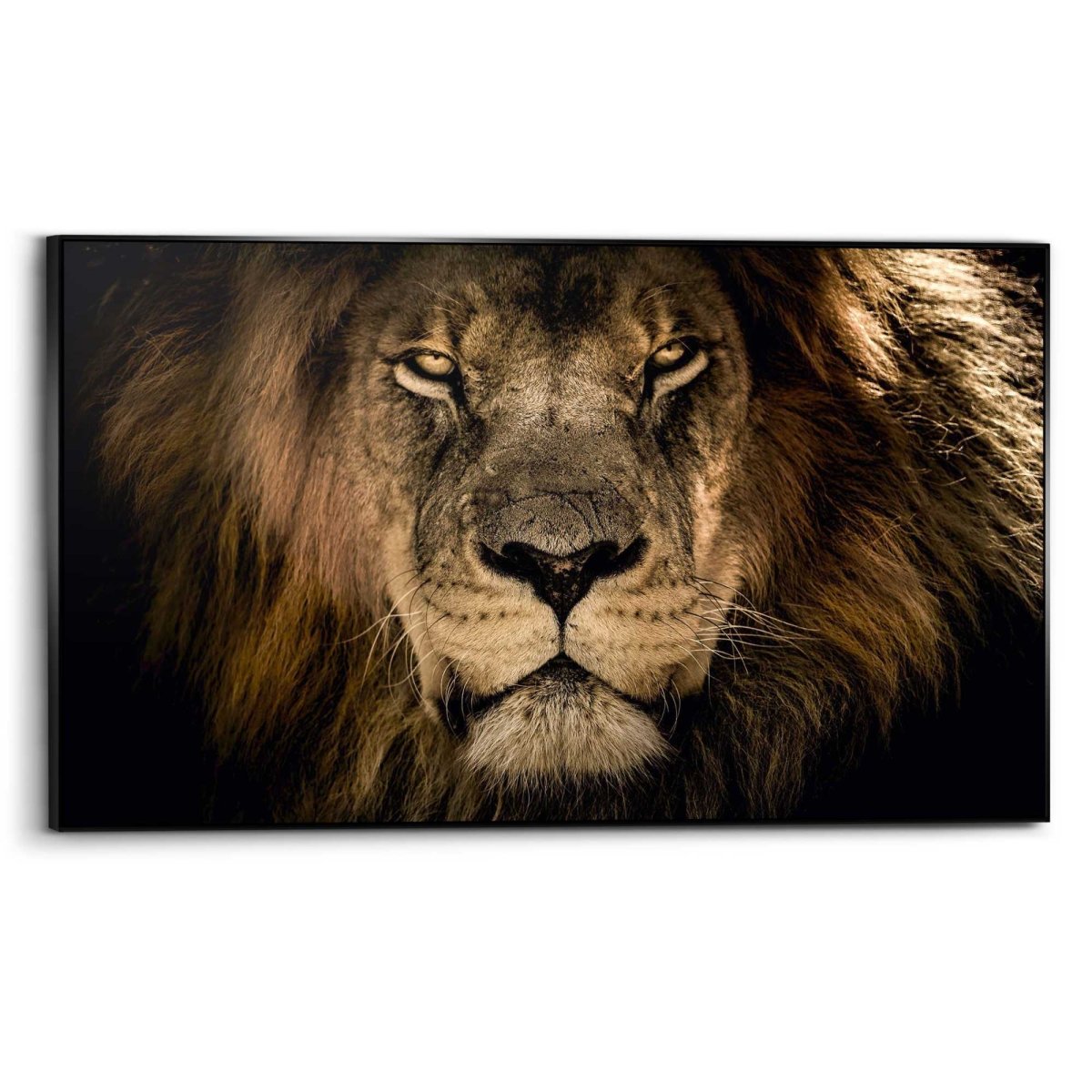 Art Frame Leeuw 70x118 - Art Frame - Reinders