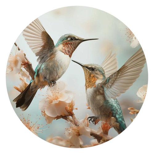 Glasbild Kolibri im Frühling 70 Rund