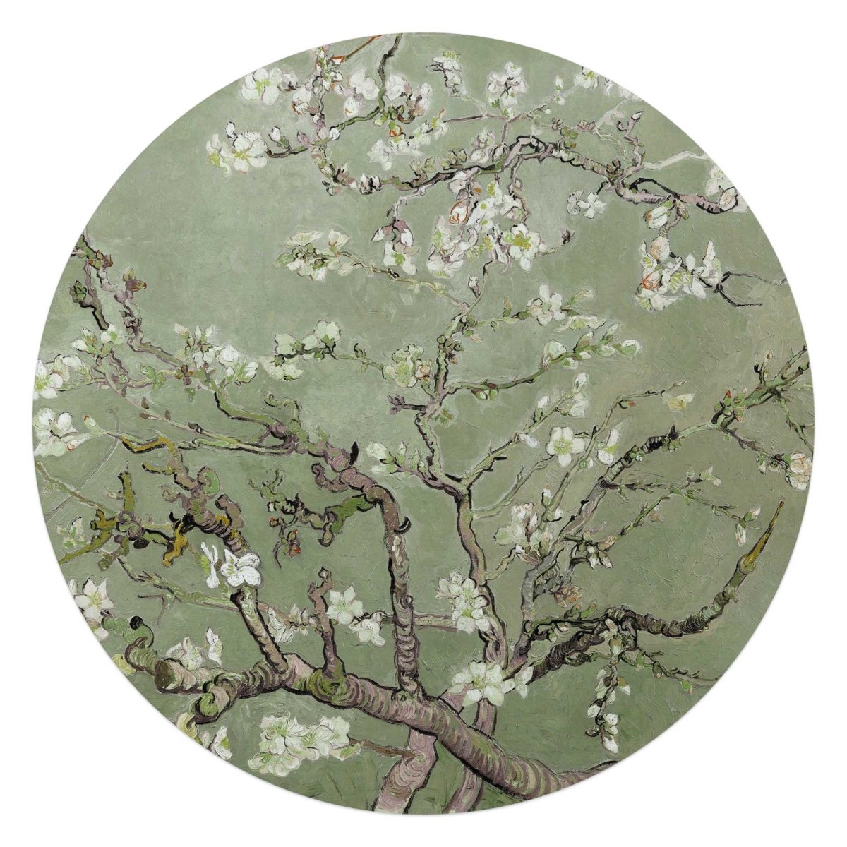 Glasschilderij Van Gogh amandelbloesem 70 Rond - Reinders