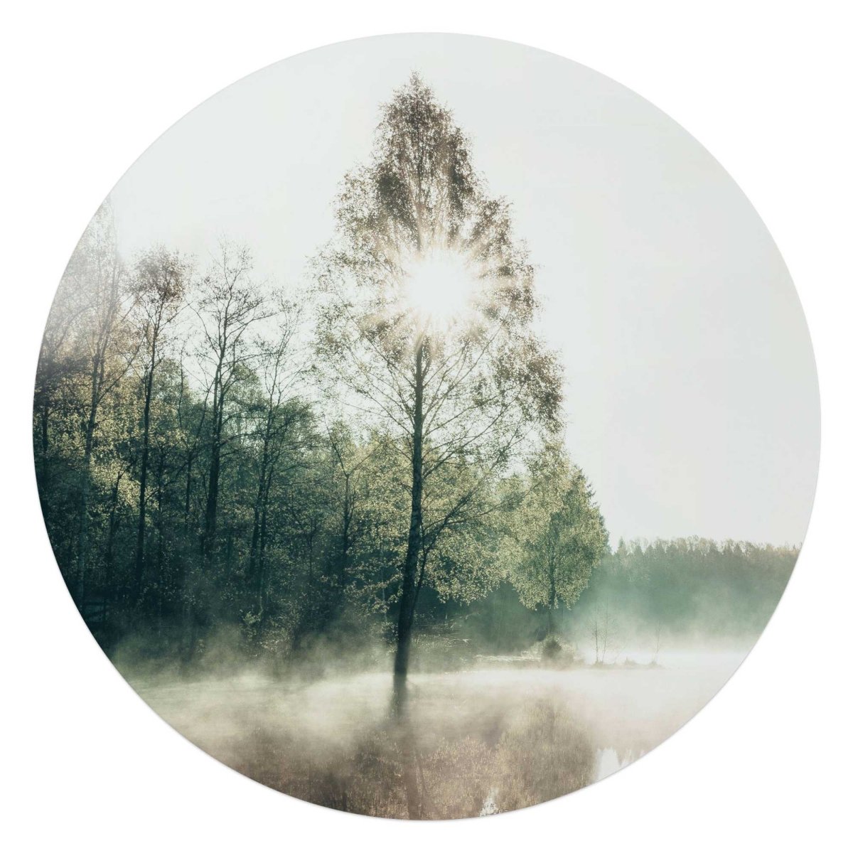 Glasschilderij Zon door de boom 70 Rond - Reinders