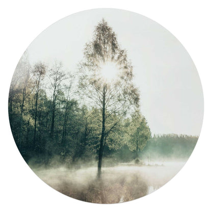Glasschilderij Zon door de boom 70 Rond - Reinders