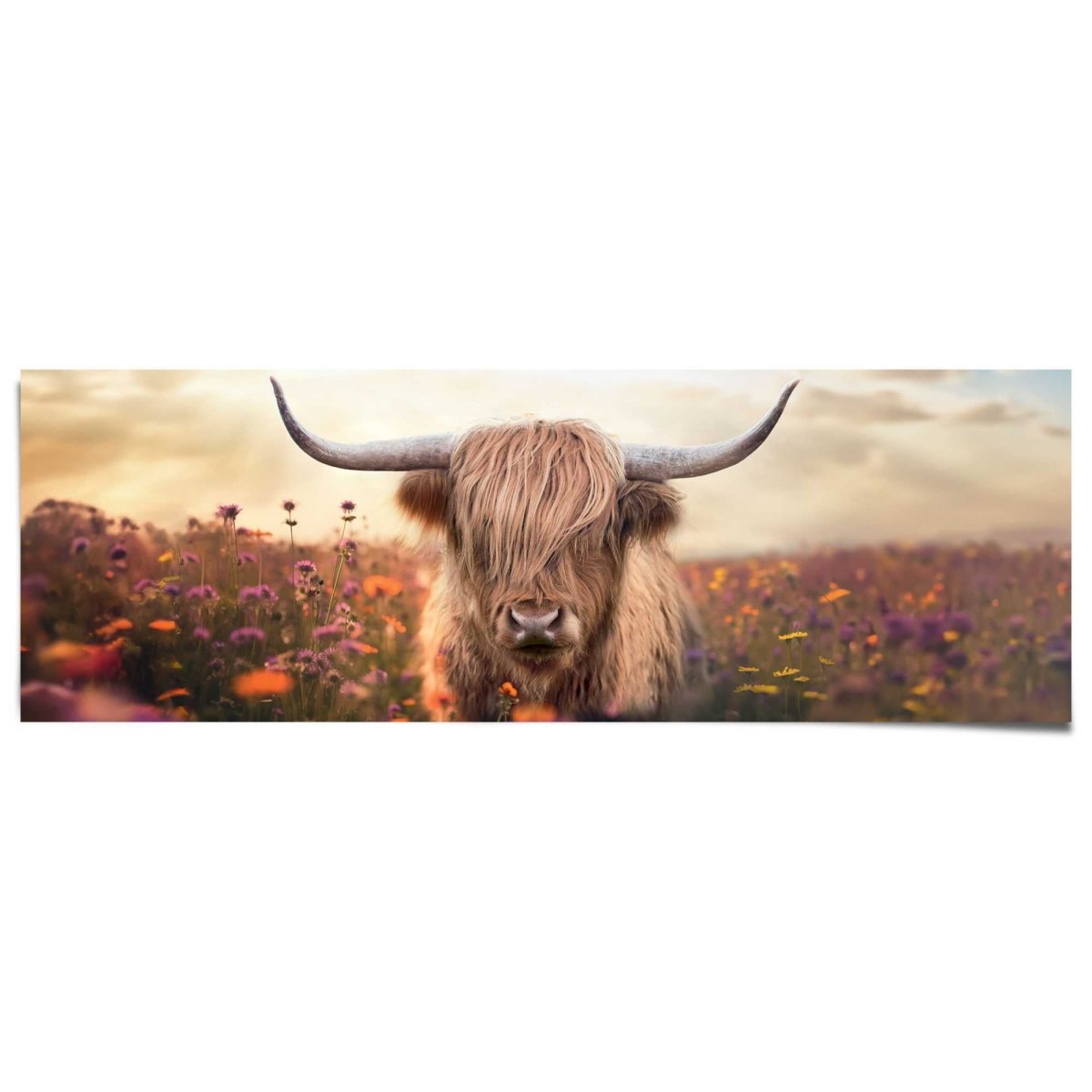 Poster Spring Highlander 53x158 - Reinders