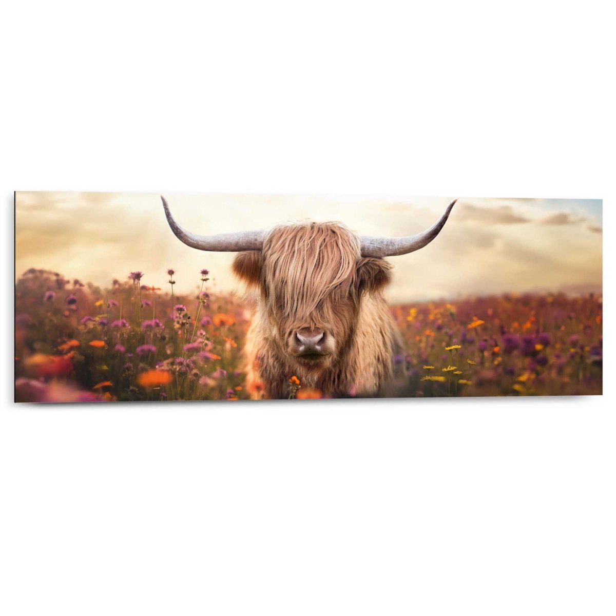 Schilderij Lente schotse hooglander 30x90 - Reinders