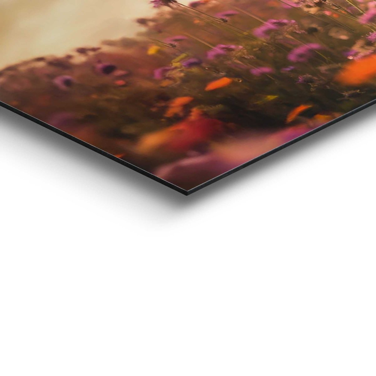 Schilderij Lente schotse hooglander 30x90 - Reinders