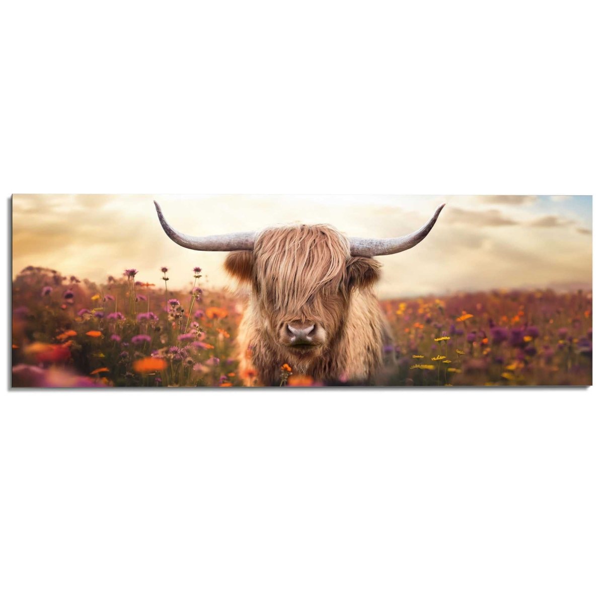 Schilderij Lente schotse hooglander 52x156 - Reinders