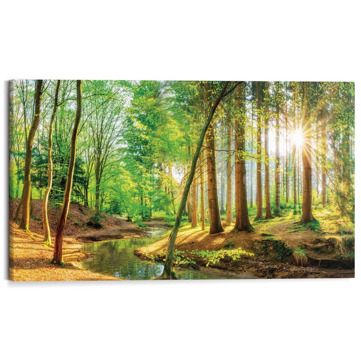 Schilderij Zonnig bos 70x118 - Reinders