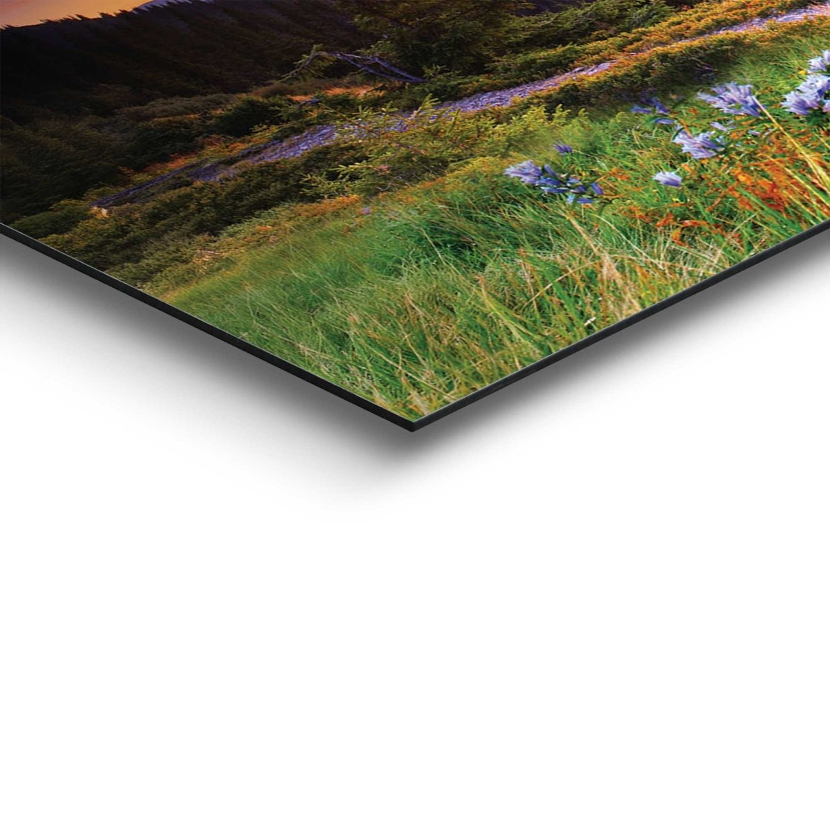 Schilderij Zonsondergang bij de bergen 30x90 - Reinders