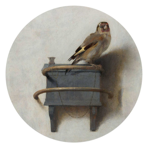 Glasbild Carel Fabritius Der Distelfink 70 Rund
