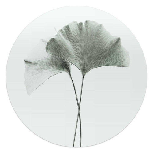 Glasbild Ginkgo Blatt 50 Rund