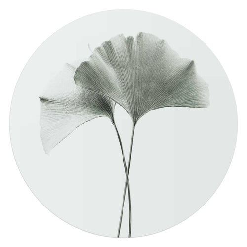 Glasbild Ginkgo Blatt 70 Rund