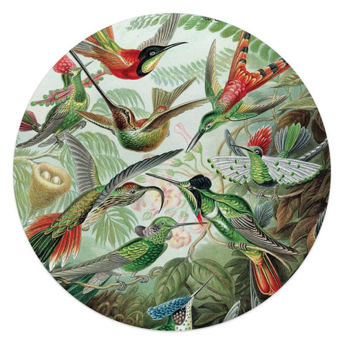 Glasbild Hummingbirds 50 Rund