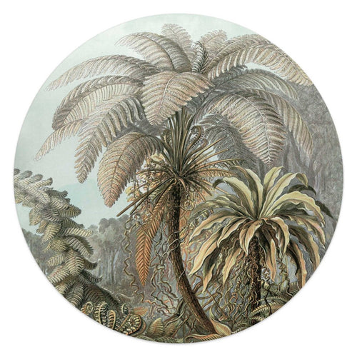 Glasbild Palmenbaum 50 Rund