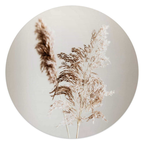 Glasbild Pampasgras 50 Rund