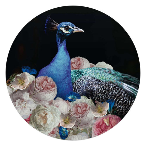 Glasbild Pfau 70 Rund