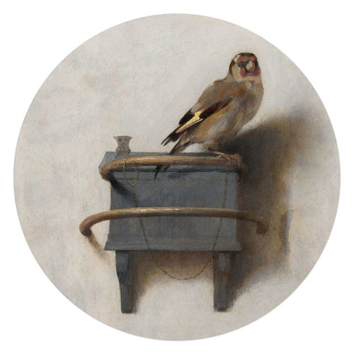 Plexiglasbild Carel Fabritius Der Distelfink 70 Rund