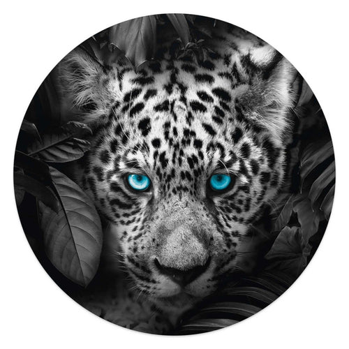Plexiglasbild Leopard 50 Rund