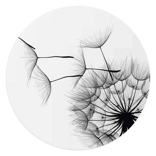 Plexiglasbild Pusteblume 70 Rund