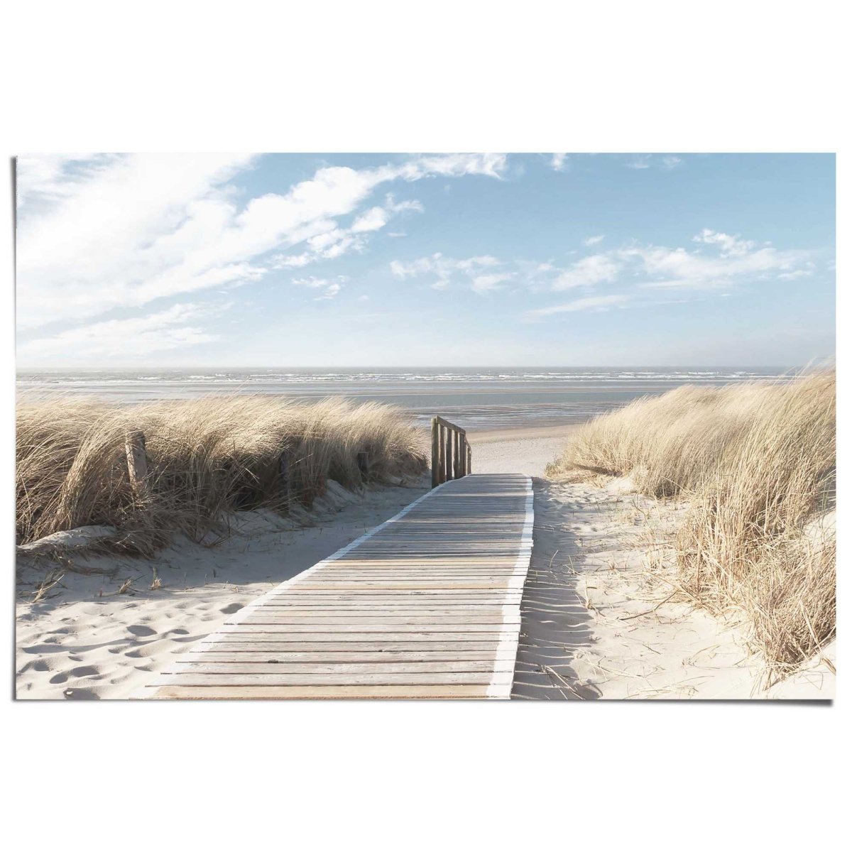 Poster Duinpad naar het strand 61x91,5 - Reinders