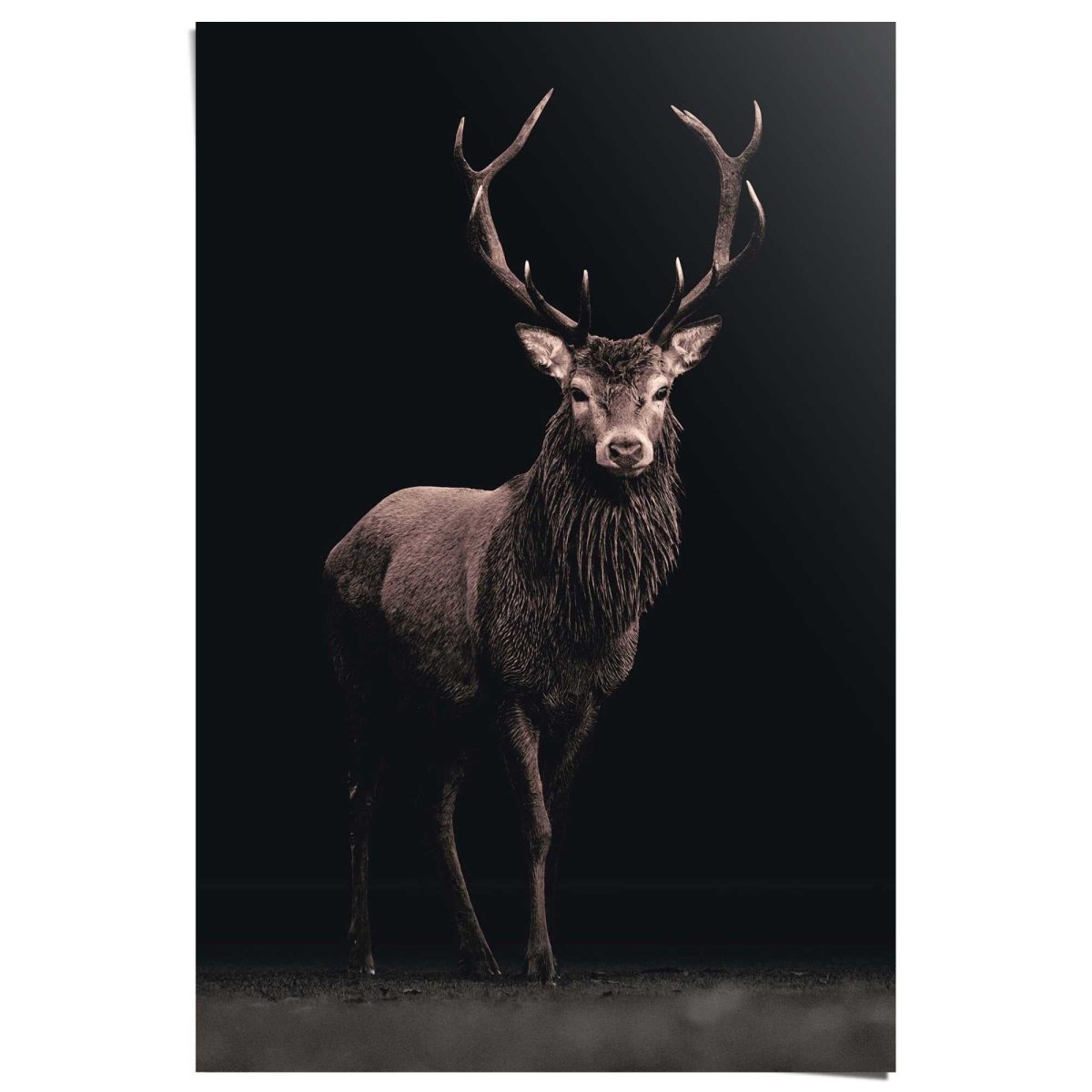 Poster Hert zwart 91,5x61 - Reinders