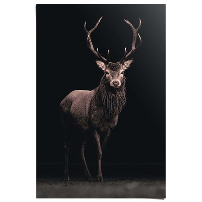 Poster Hert zwart 91,5x61 - Reinders