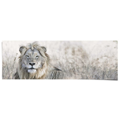 Poster Leeuw 53x158 - Reinders
