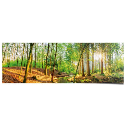Poster Lentebos 53x158