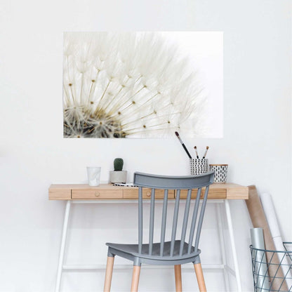 Poster Paardenbloem - wit 61x91,5 - Reinders