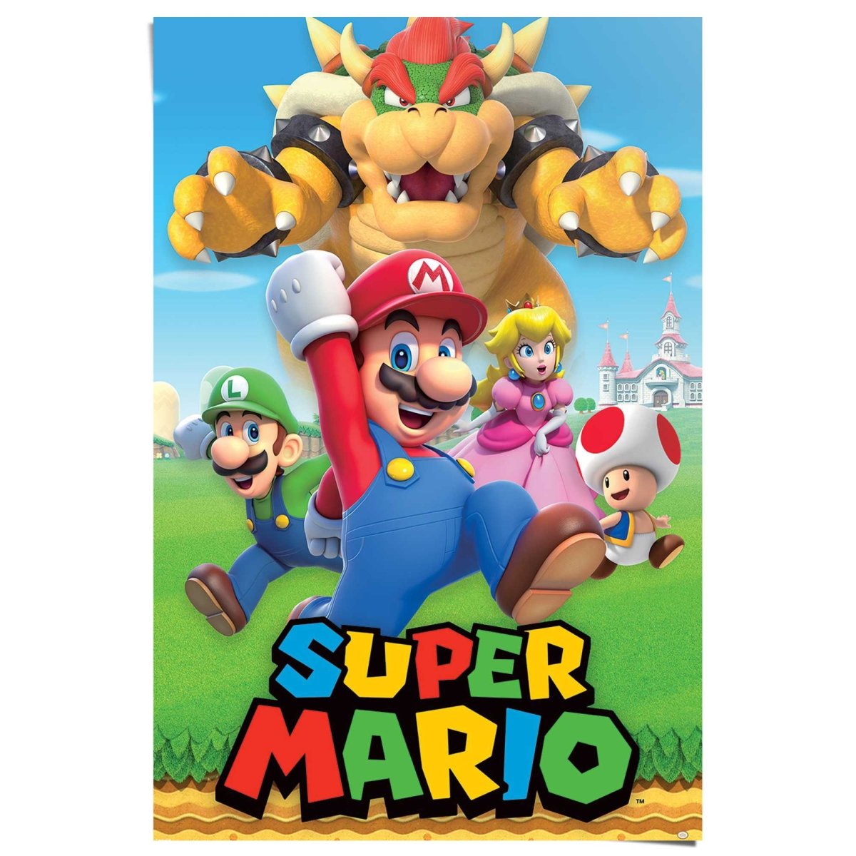 Poster Super Mario - character montage 91,5x61 - Reinders