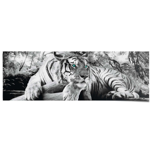 Poster Tigerblick 53x158