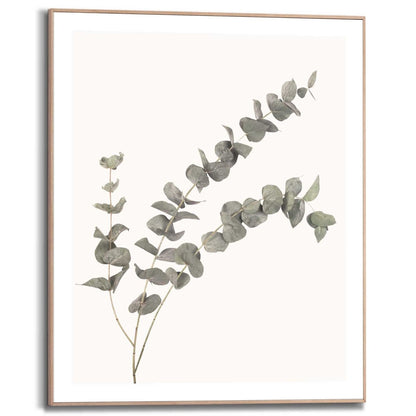 Schilderij Eucalyptus 50x40 - Reinders