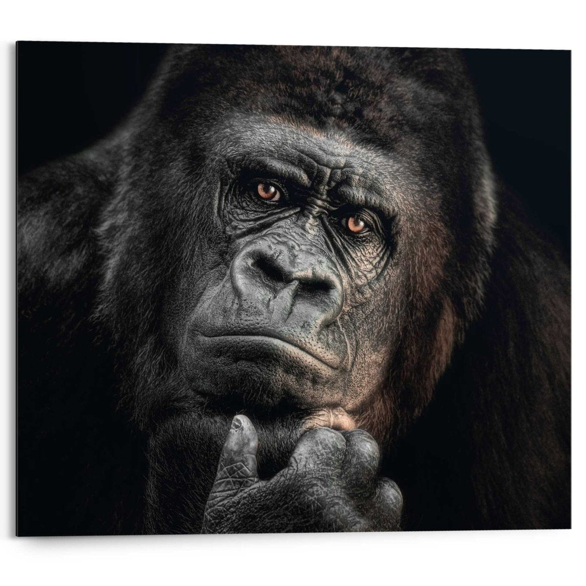 Schilderij Gorilla 40x50 - Reinders