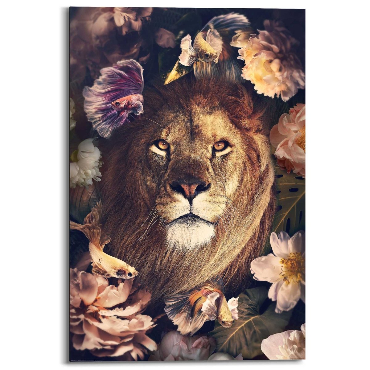Schilderij Jungle Lion 90x60 - Reinders