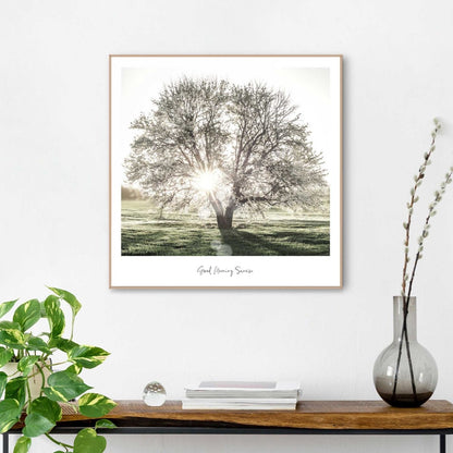 Schilderij Ochtendzon 50x50 - Reinders