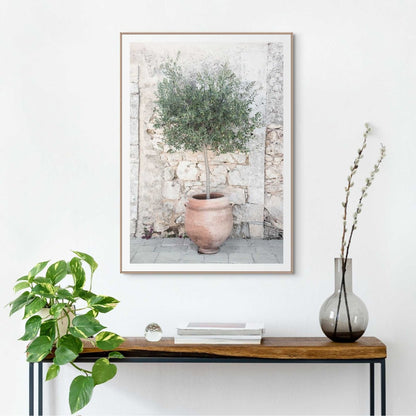 Schilderij Olive Tree 70x50 - Reinders