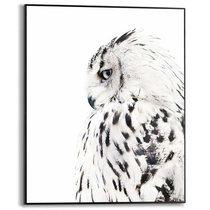 Schilderij Uil 50x40 - Reinders