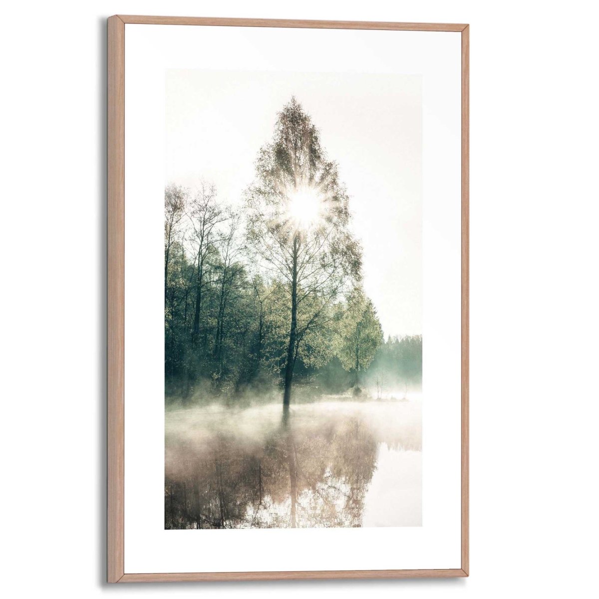 Schilderij Zon door de bomen 30x20 - Reinders