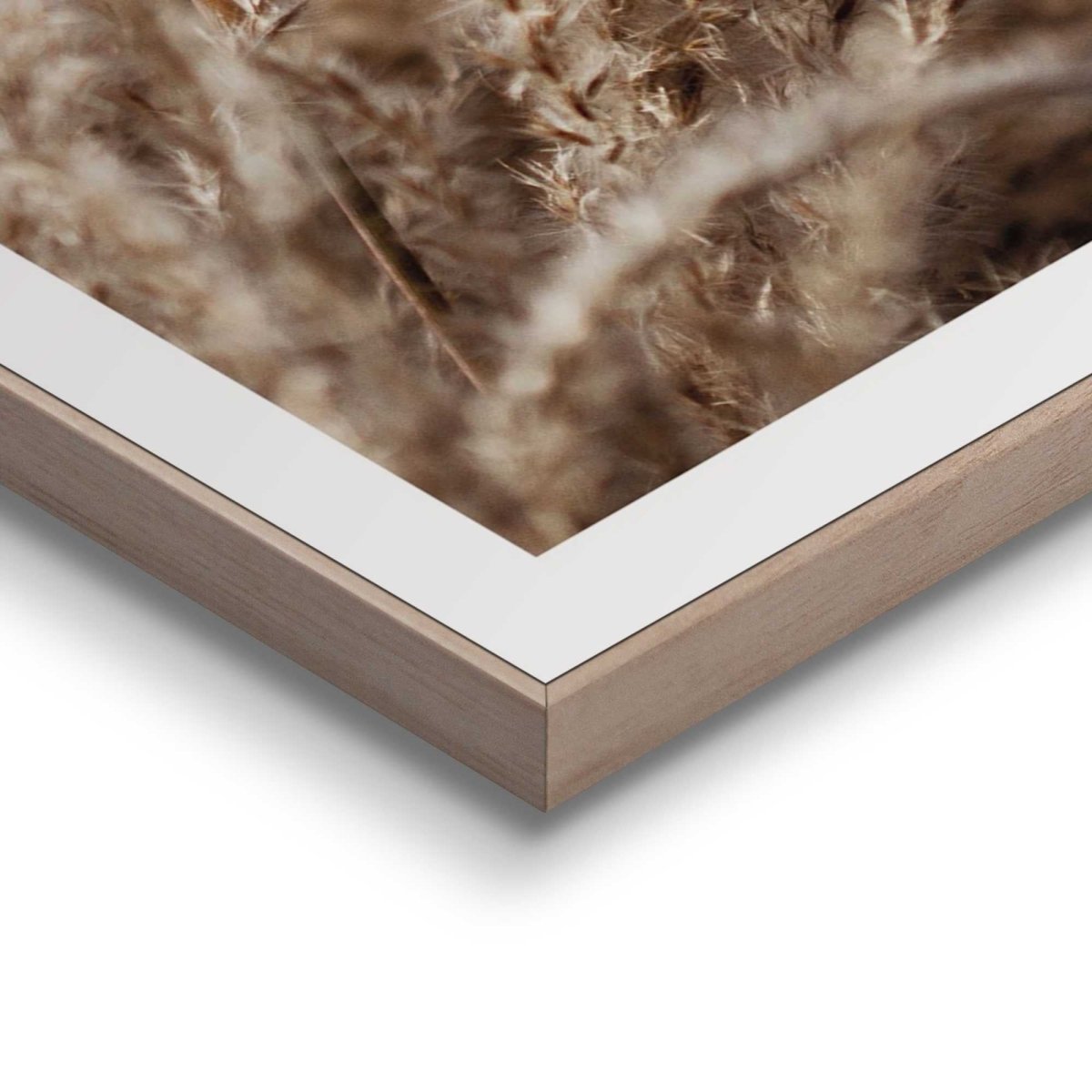 Schilderijen set Happy Day - Reinders