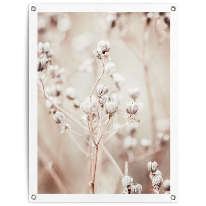 Tuinposter Gedroogde tak 80x60 - Reinders