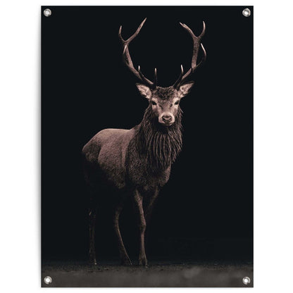 Tuinposter Hert 80x60 - Reinders