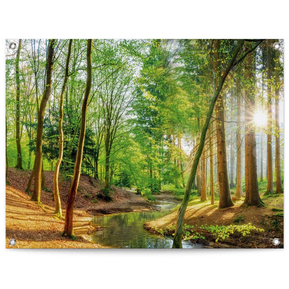 Tuinposter Lentebos 60x80 - Reinders