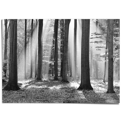 XXL Poster Zonlicht in loofbos 100x140 - Reinders